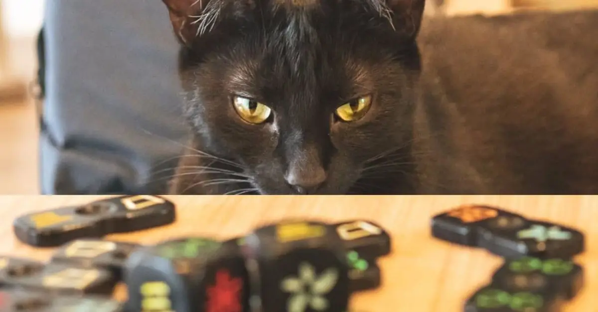 How a Cat’s ‘Skill’ Shocked a Woman During a Board Game