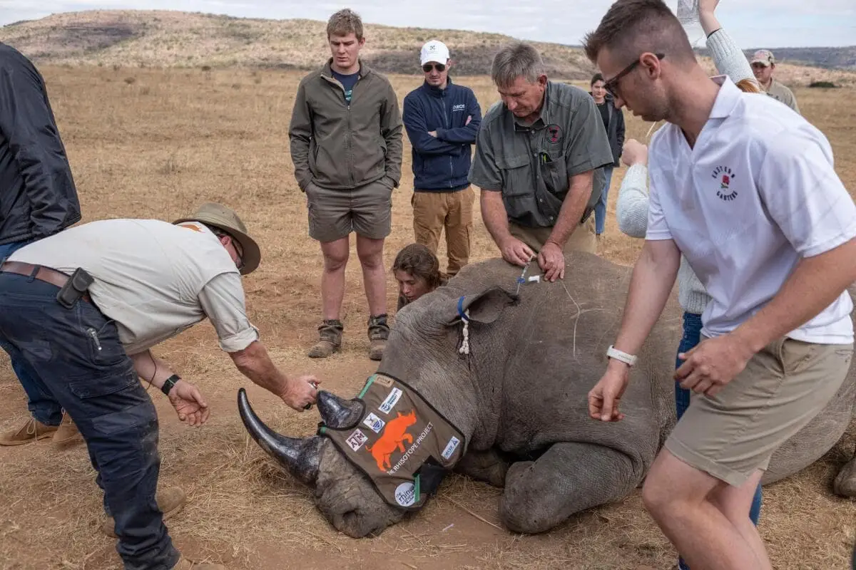 Disarming poachers with science: How the radiation technique works