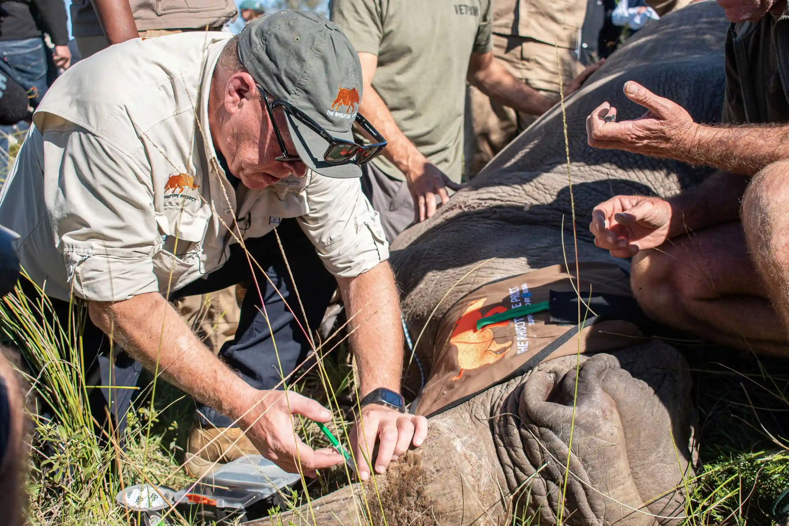 A race against time: The alarming rise of rhino poaching