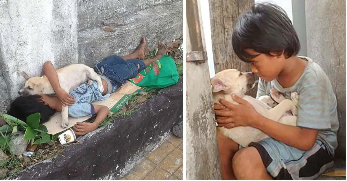 A Heartfelt Tale: Abandoned by Parents, the Boy Found Love in the Dog’s Embrace