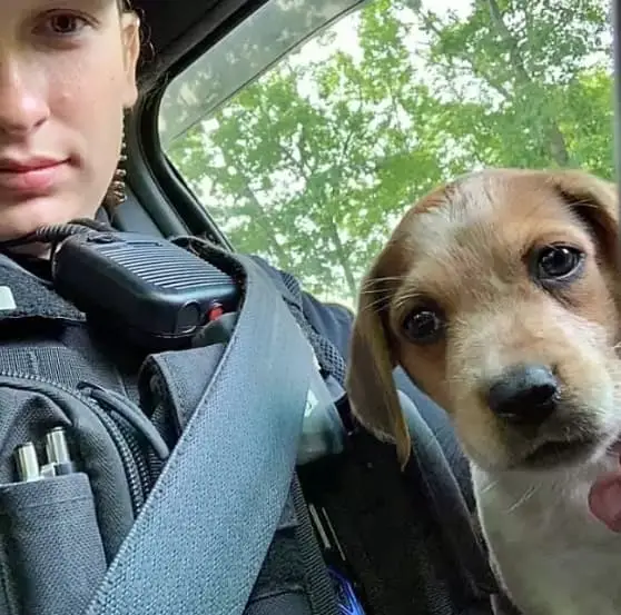 Building a bond: Officer Rogers and her canine companion