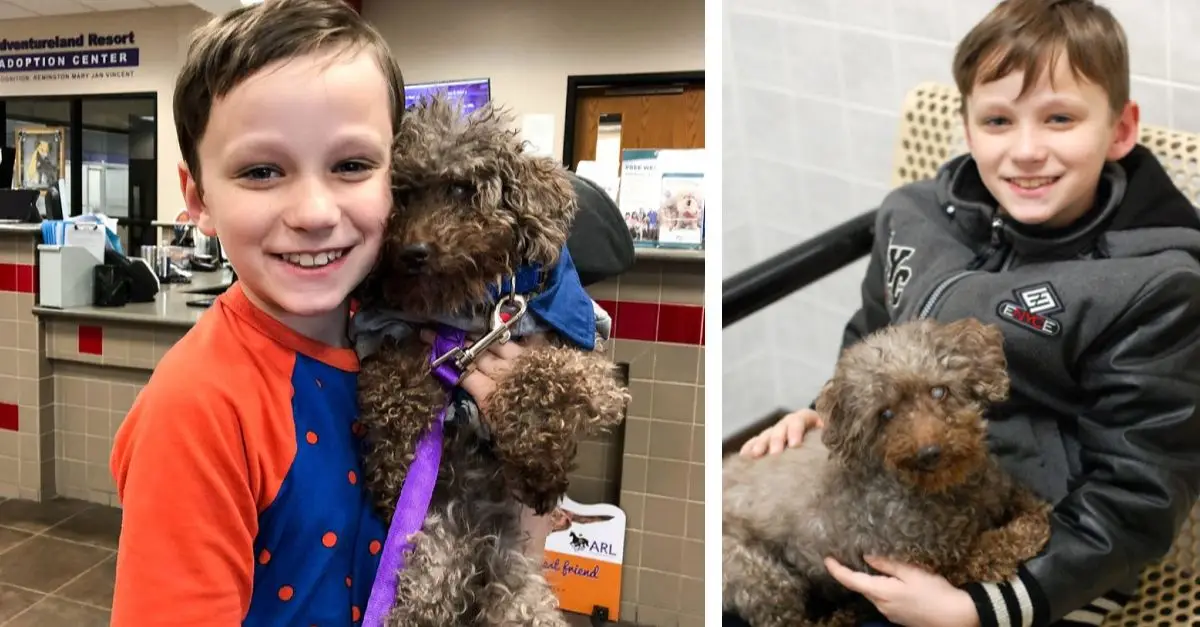 A young boy adopts the oldest, overlooked dog from the shelter, bringing joy to the dog's final days