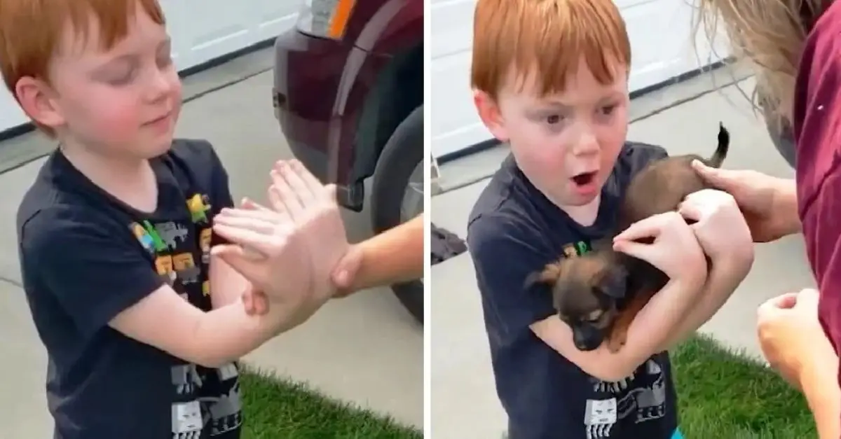 Boy saving up for a puppy, Grandma tells him to close eyes & stretch arms