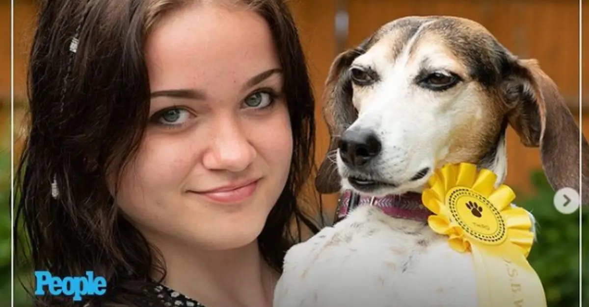 Family can't stop laughing after missing dog returns with a dog show ribbon