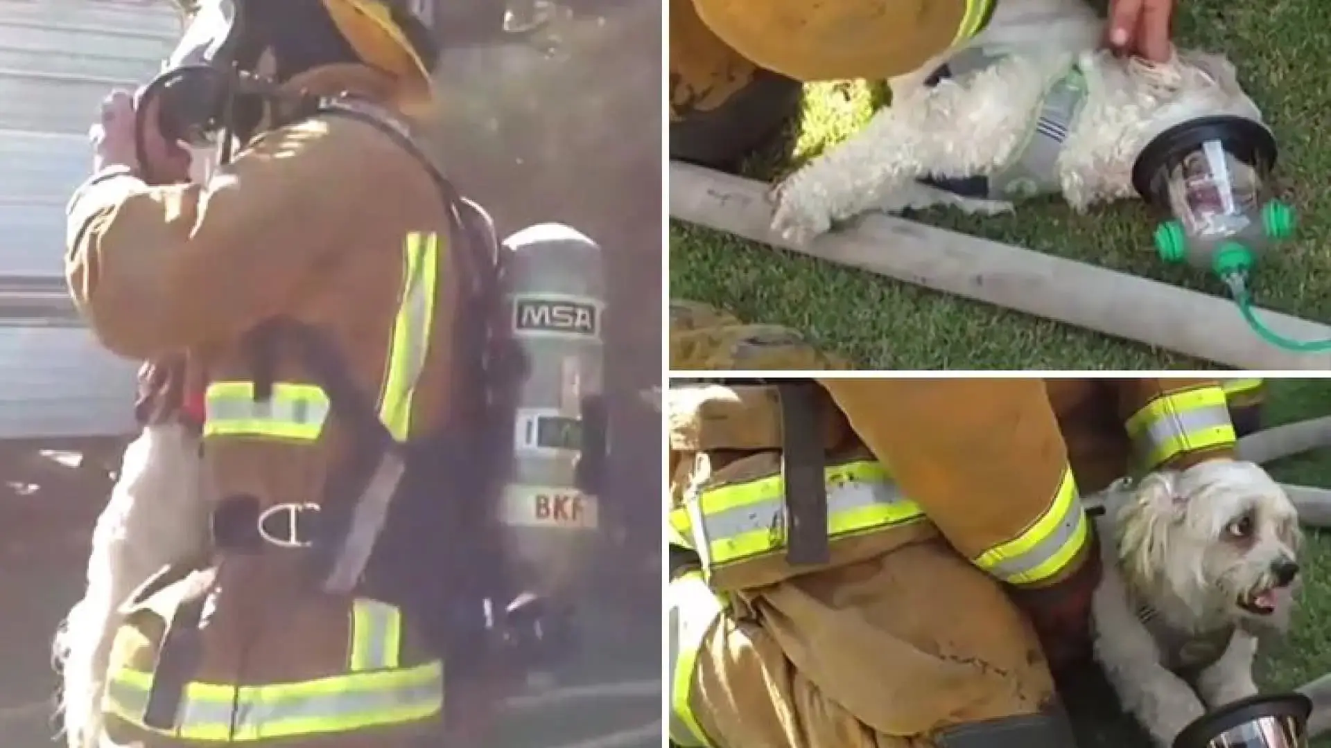 Firefighter Andrew Klein performs heroic rescue