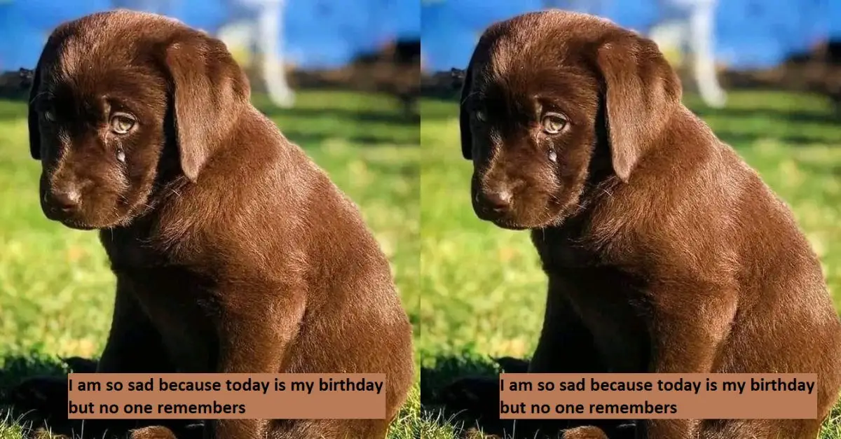 I am so sad because today is my birthday but no one remembers