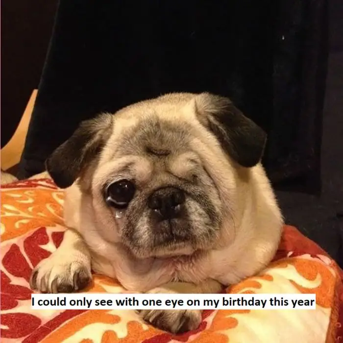 I could only see with one eye on my birthday