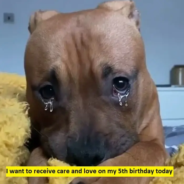 I want to receive care and love on my 5th birthday 