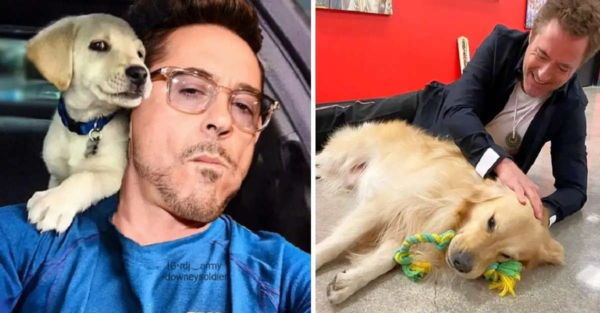 Ironman actor Robert Downey admits he can’t live without his rescued animals lately