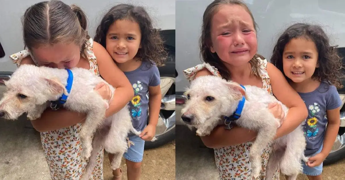 Little girl can’t stop joyful tears when her lost dog is finally found