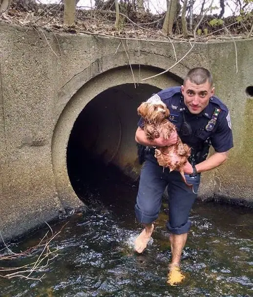 A frightening encounter and a desperate situation