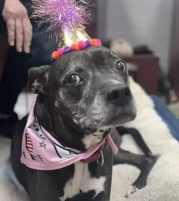 A birthday bash for a beloved resident