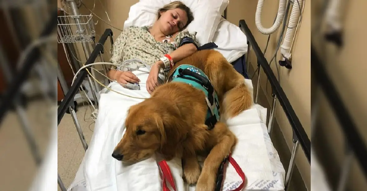 The dog stays loyally by his “mother,” caring for her until she recovers, showing their deep bond