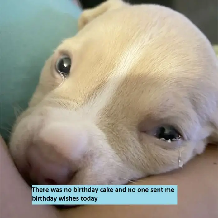 There was no birthday cake and no one sent me birthday wishes 