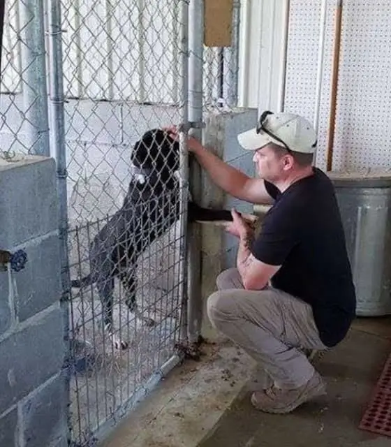 A year and a half of waiting: Speck's hope in a cage