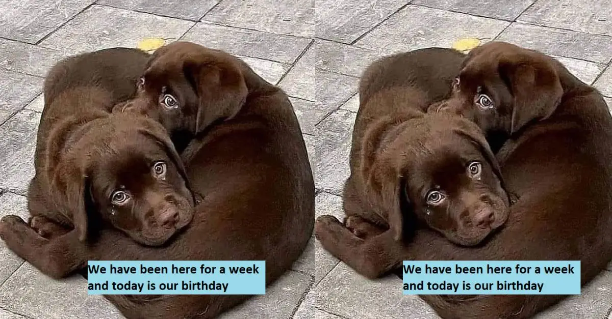 We have been here for a week and today is our birthday