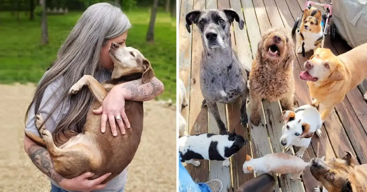 Woman Converts Home Into Pet Hospice, Cares for 80 Elderly Dogs Simultaneously