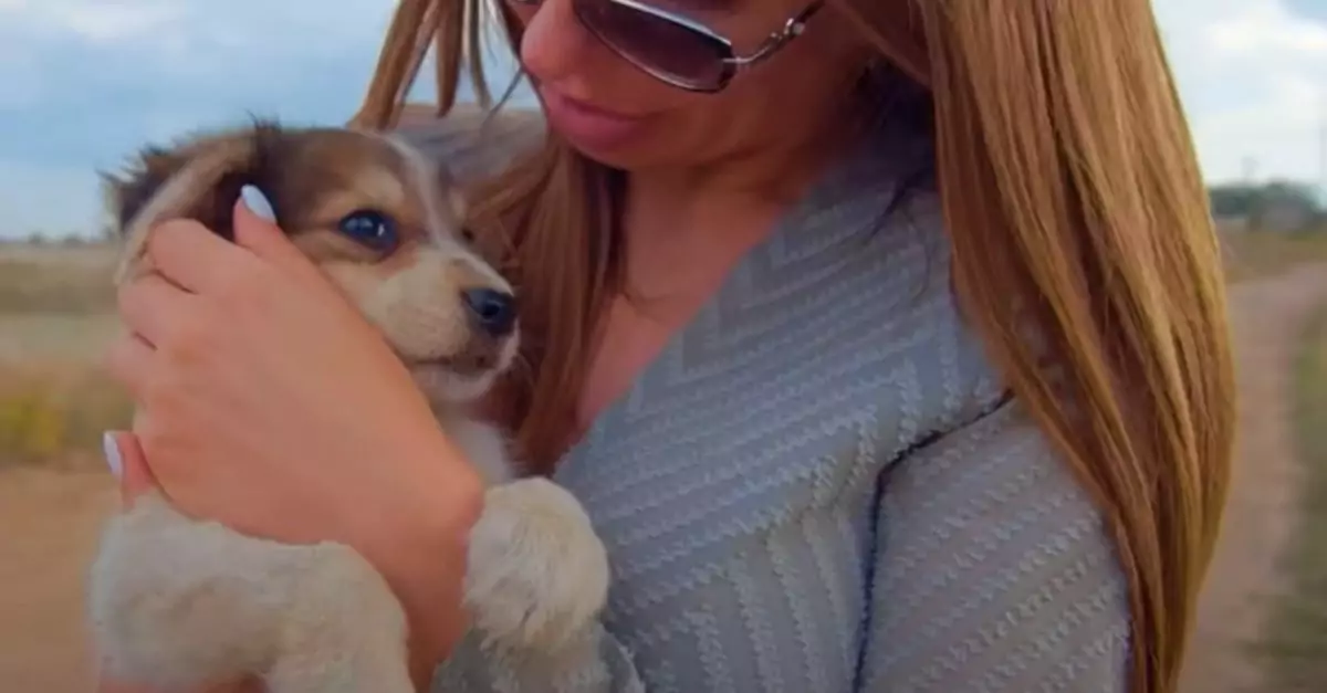  Abandoned Puppy Clings to Woman, Begging to Be Taken Home