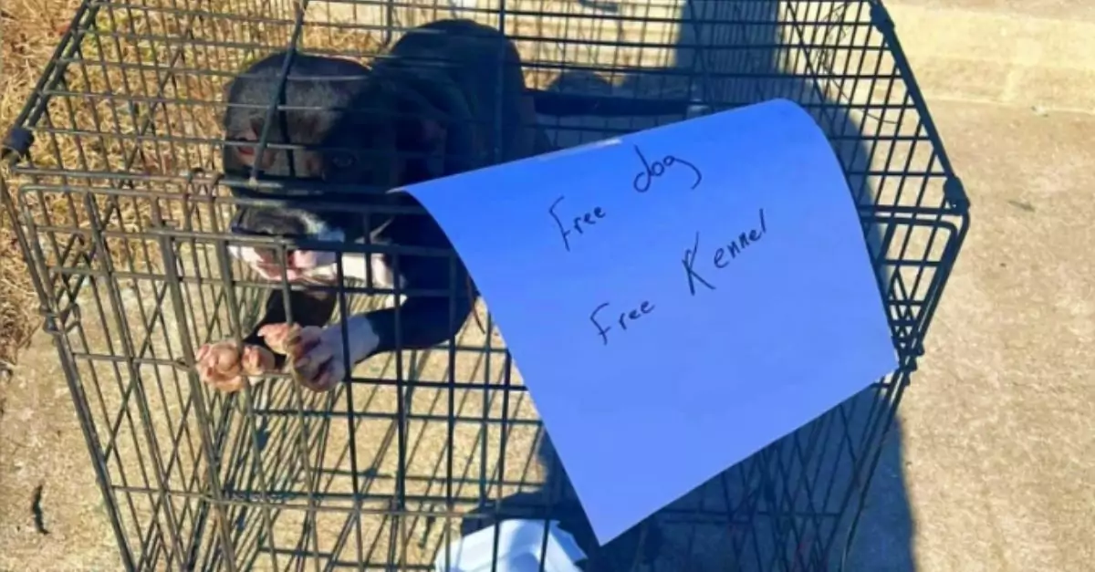 Dog Abandoned by Highway with Sign: “Free Dog, Free Kennel”