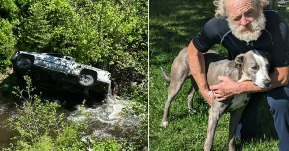 Dog Walked 4 Miles to Find Help for Owner and Siblings Trapped in Crash