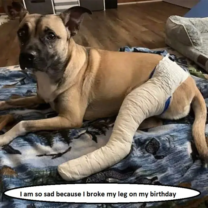 I broke my leg on my birthday