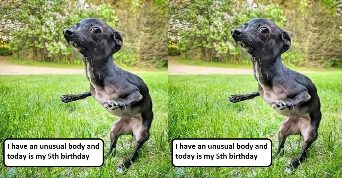 I have an unusual body and today is my 5th birthday