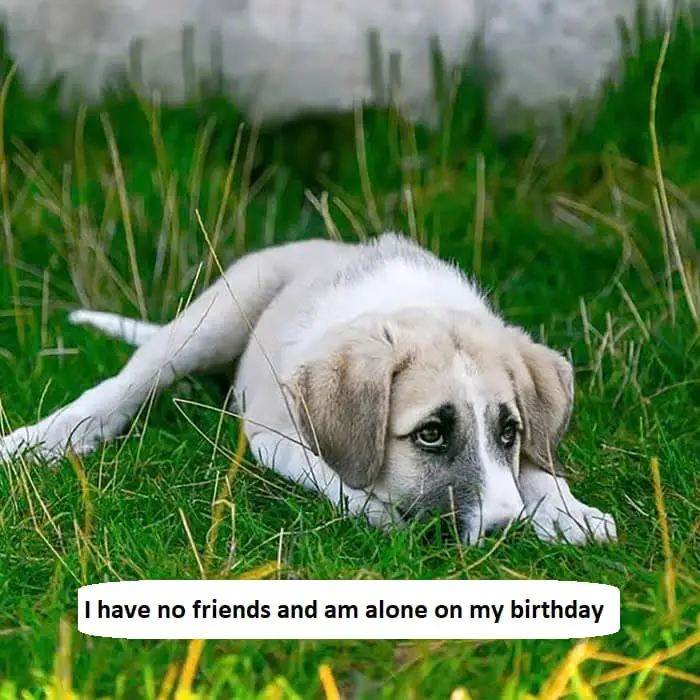 I am alone on my birthday, no wishes