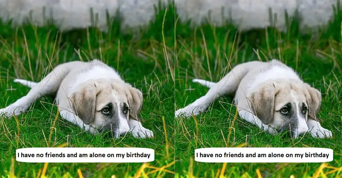 I have no friends and am alone on my birthday, no wishes