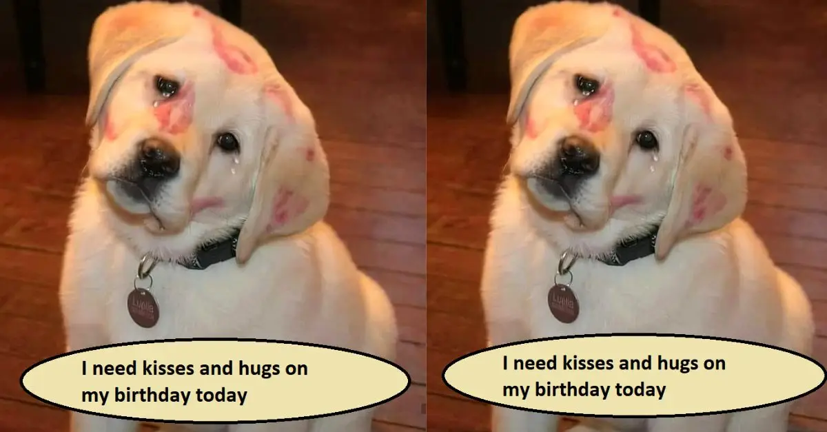 I need kisses and hugs on my birthday today