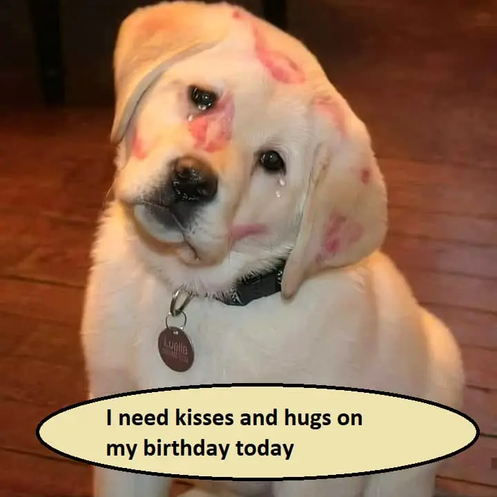 I need kisses and hugs on my birthday 