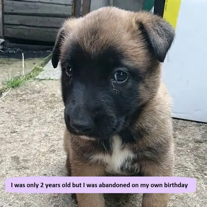 I was only 2 years old but I was abandoned on my own birthday