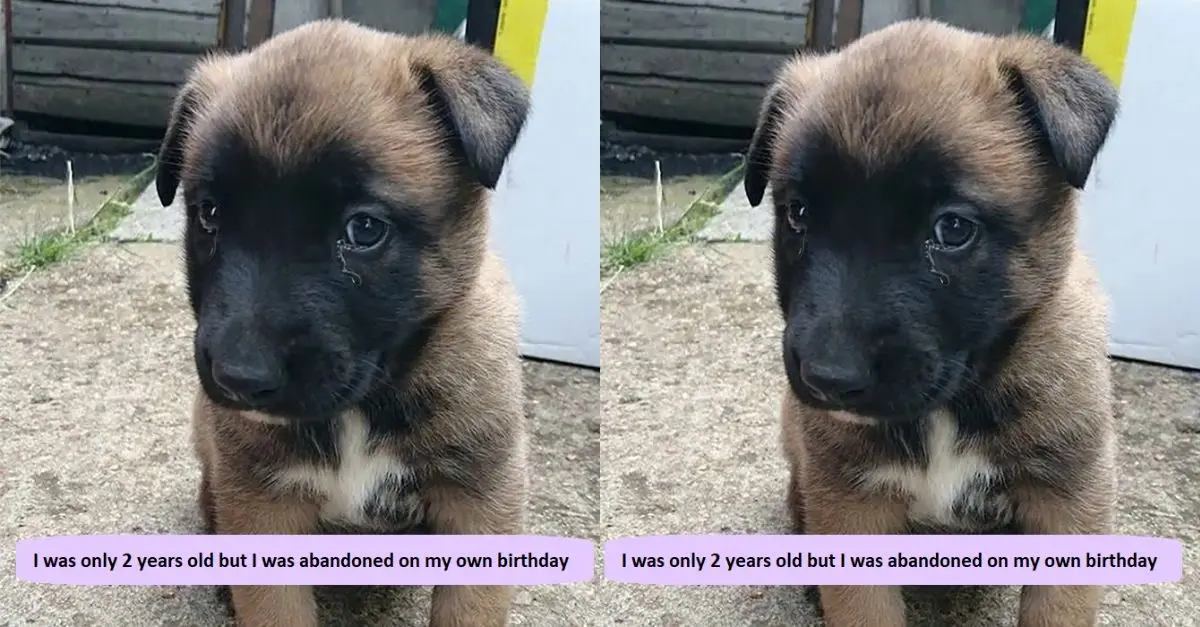 I was only 2 years old but I was abandoned on my own birthday