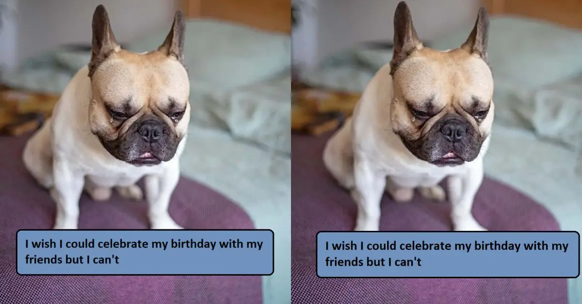 I wish I could celebrate my birthday with my friends but I can't