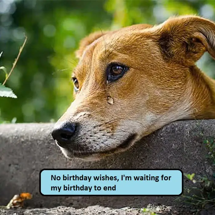 I'm waiting for my birthday to end