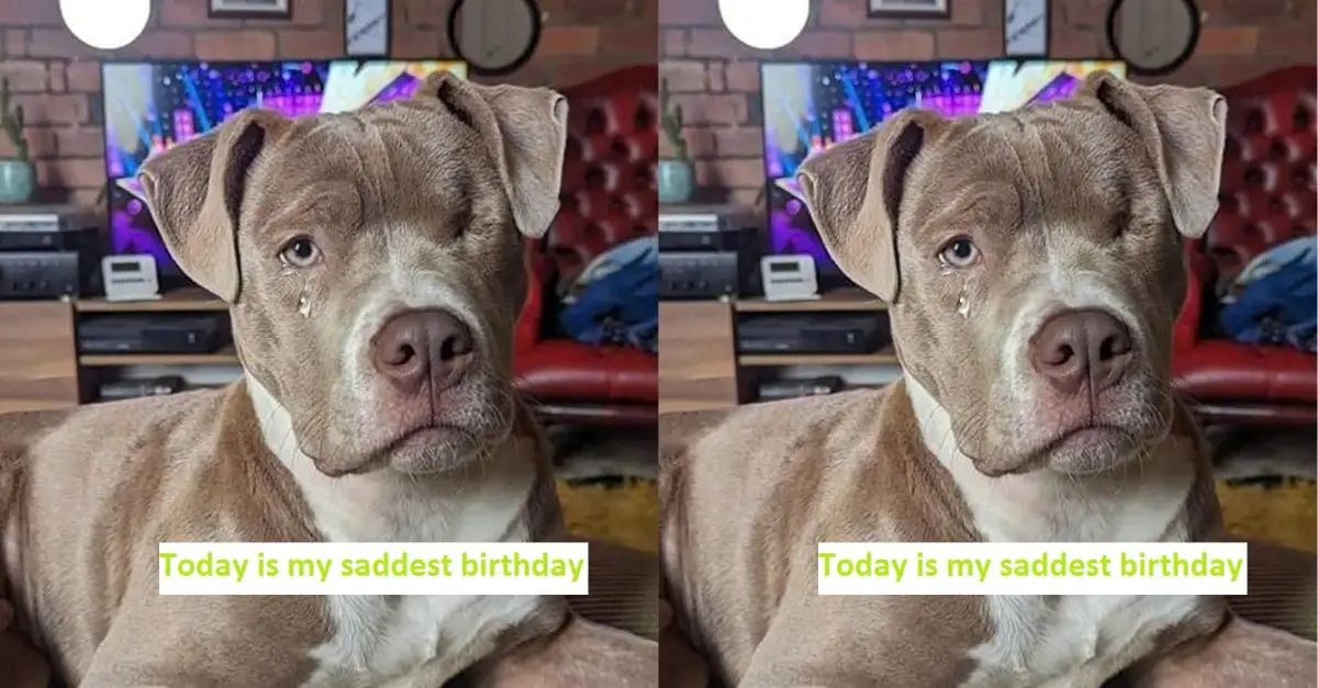 The doctor said I can only see with one eye, today is my saddest birthday