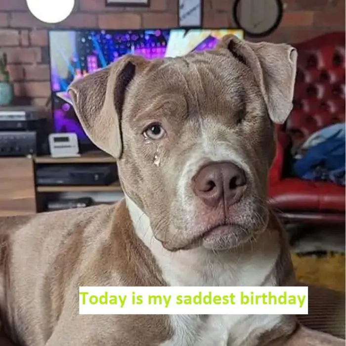 Today is my saddest birthday