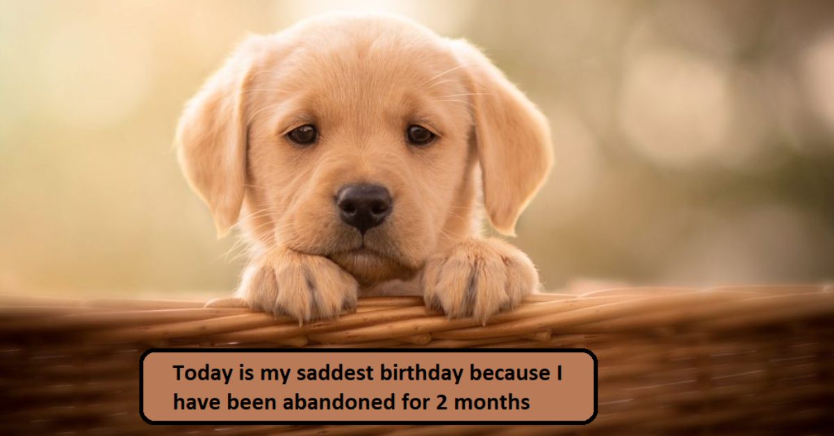 Today is my saddest birthday because I have been abandoned for 2 months