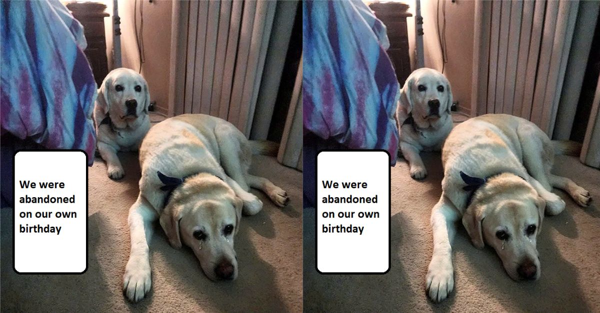 We were abandoned on our own birthday