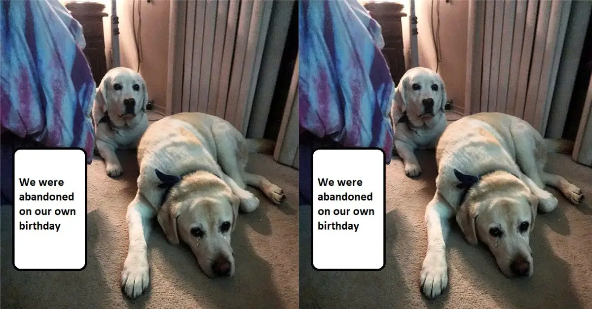 We were abandoned on our own birthday