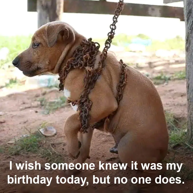 I wish someone knew it was my birthday today, but no one does.