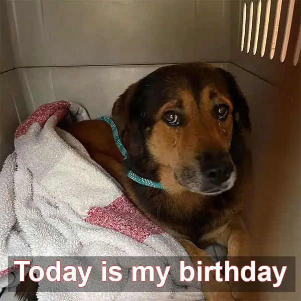 8th Birthday in the Rescue Camp: Love and Tears