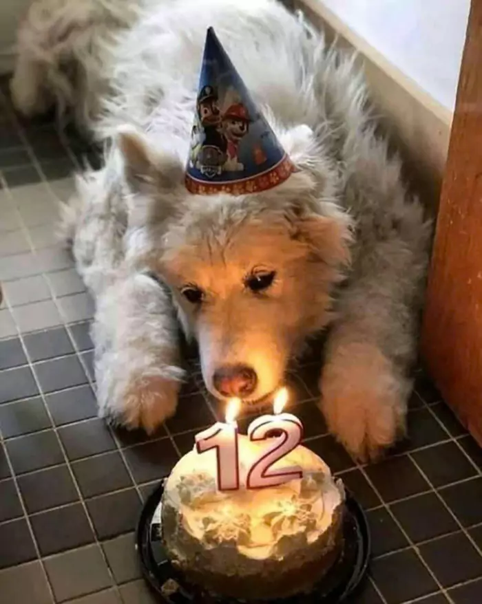 Today is my 12th birthday: Waiting so long for someone to send birthday wishes