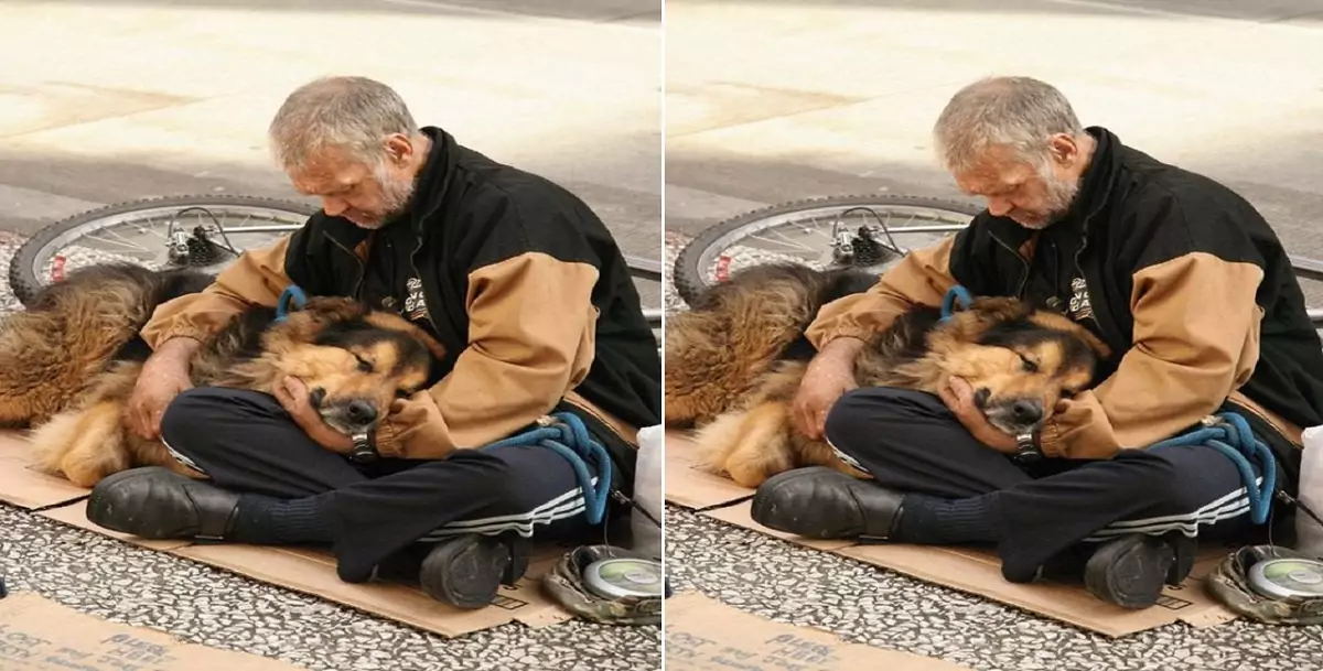 The poor, homeless owner still takes diligent care of his dog