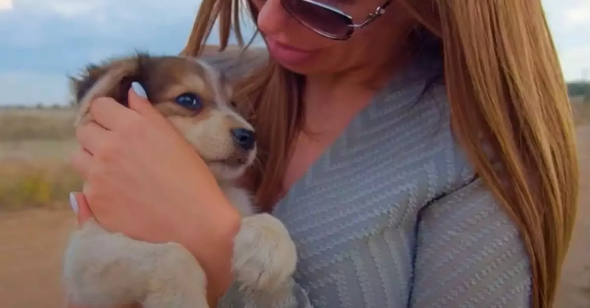 Abandoned Puppy Clings to Woman, Begging to Be Taken Home