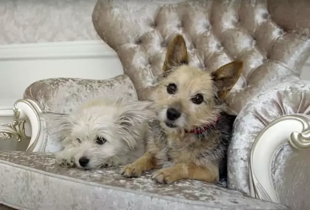 A Heartwarming Reunion: Mother and Daughter Together Again