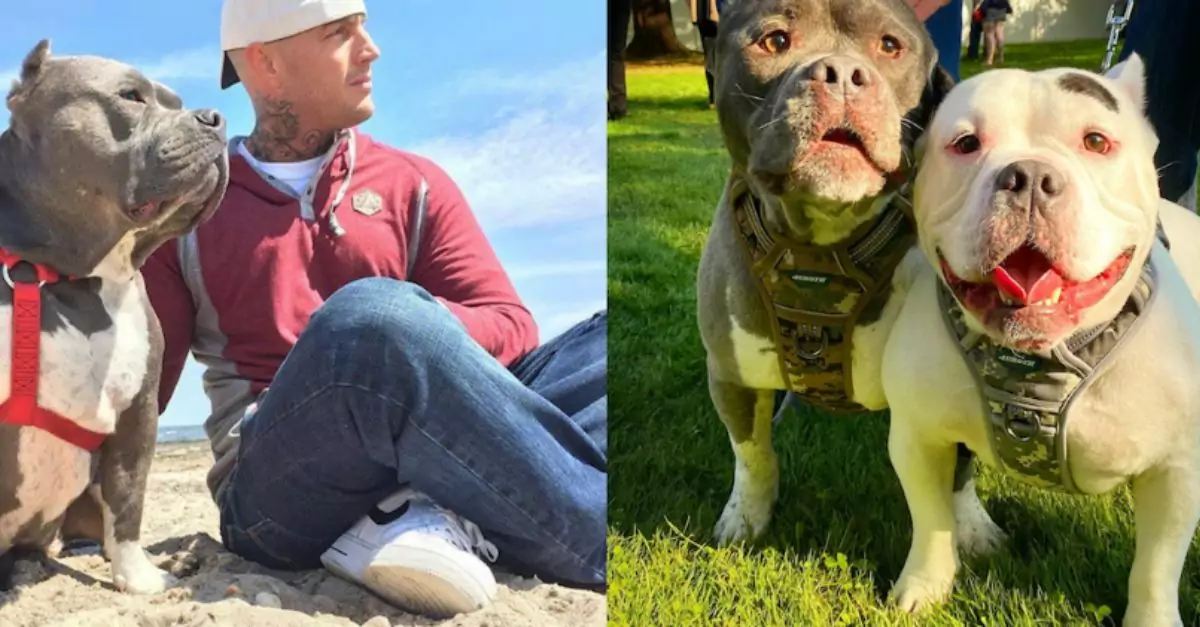 Pit Bull Brothers Sing to Their Late Dad After Being Adopted