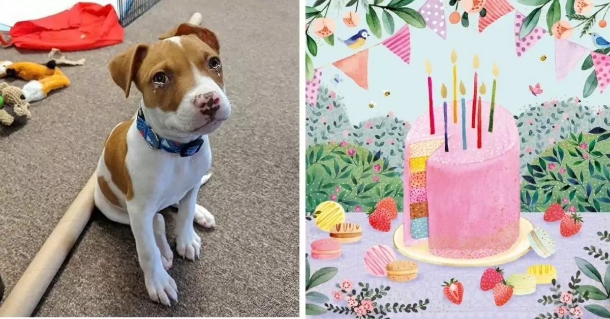 The 2-year-old puppy looked at the caretaker with pity because today was his birthday