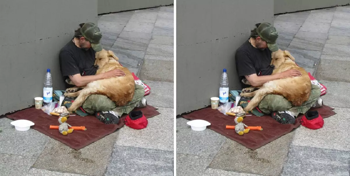 Even in the most difficult times, this man never gave up on his four-legged friend