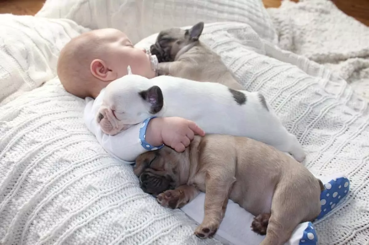 The heartwarming connection between a baby and a sleeping dog is beautifully depicted in charming photos that anyone can relate to