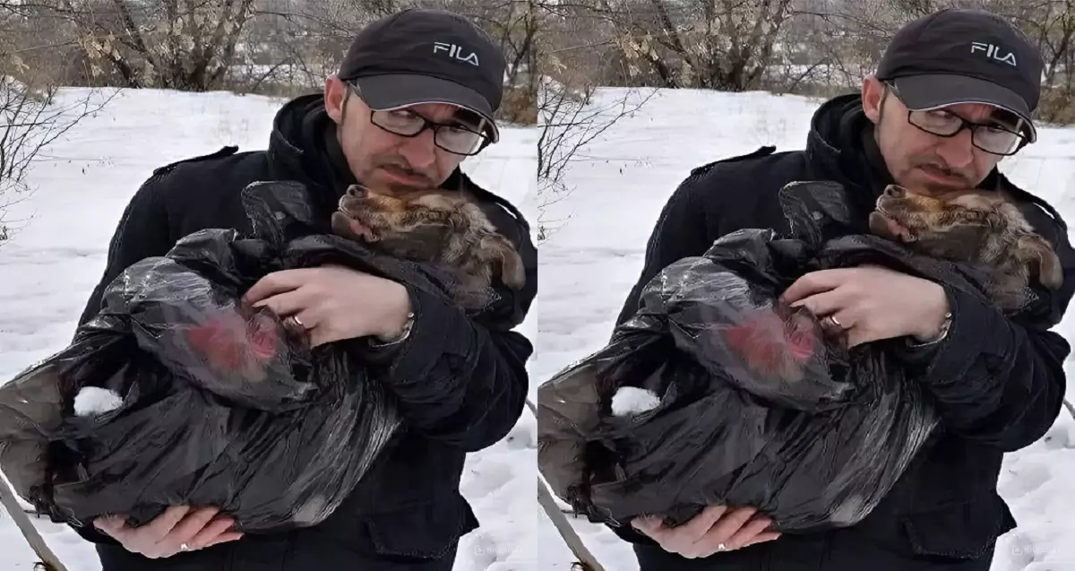 A man went hiking and came across a horrifying sight—a dog abandoned in a plastic bag